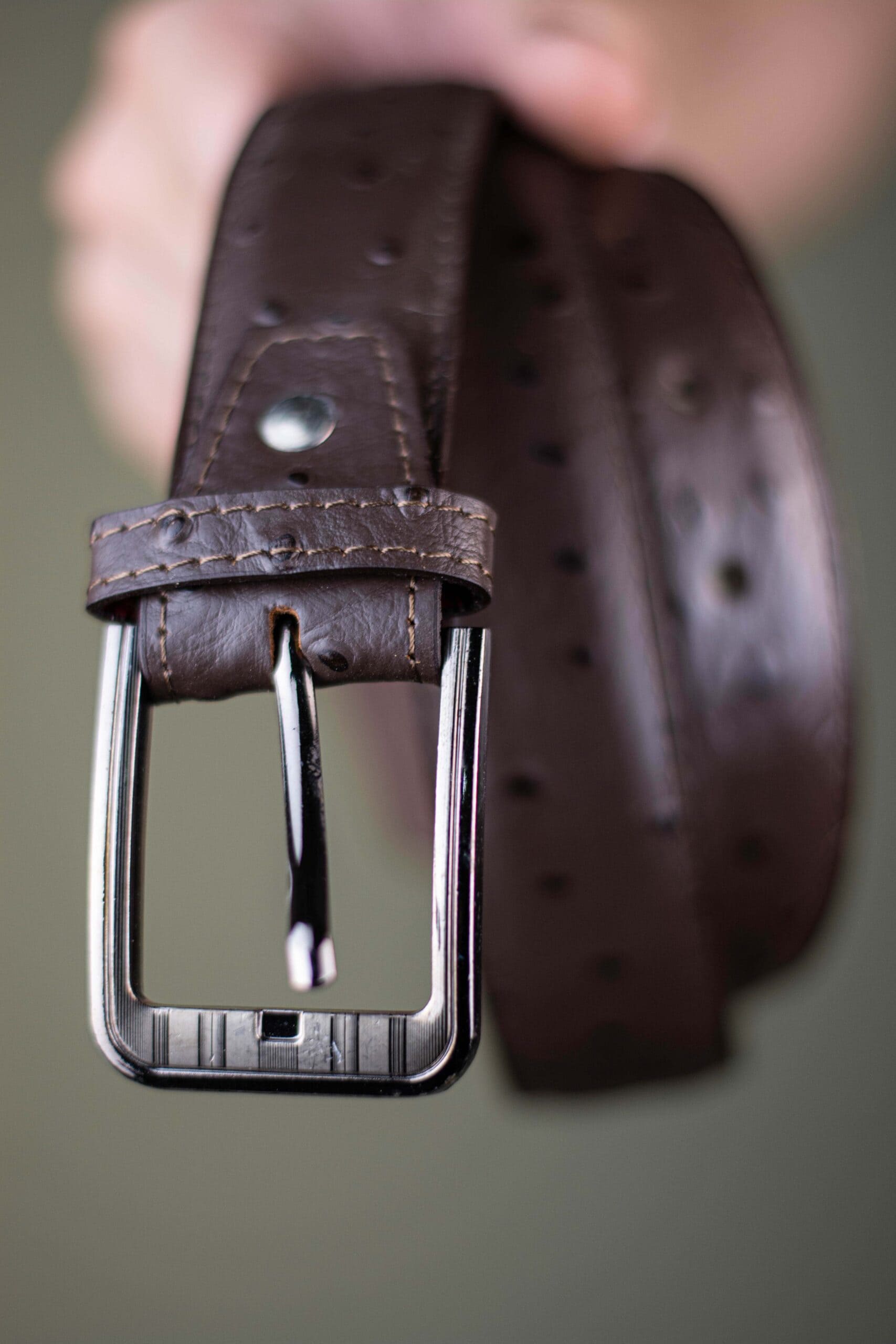 The Ostrich - Leather Belt - Brown